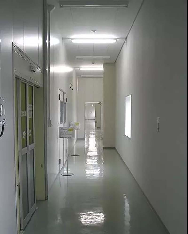 LONGQI005.jpg